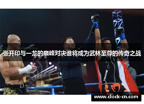 张开印与一龙的巅峰对决谁将成为武林至尊的传奇之战
