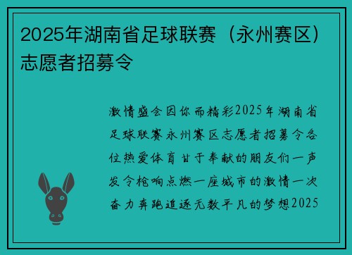 2025年湖南省足球联赛（永州赛区）志愿者招募令
